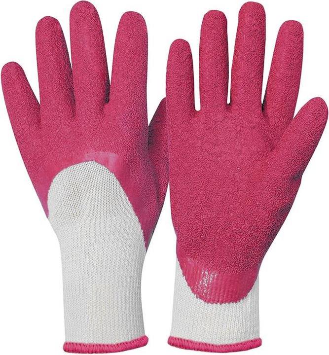 Rostaing Fushia