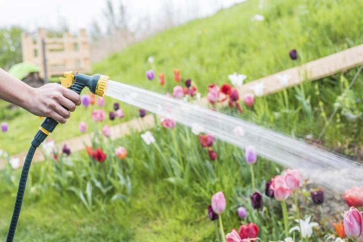Image du produit Florasun Flexi (15 m)