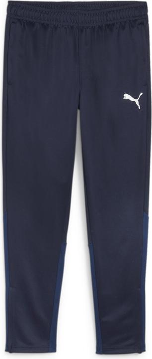 Puma teamGOAL Training Pant