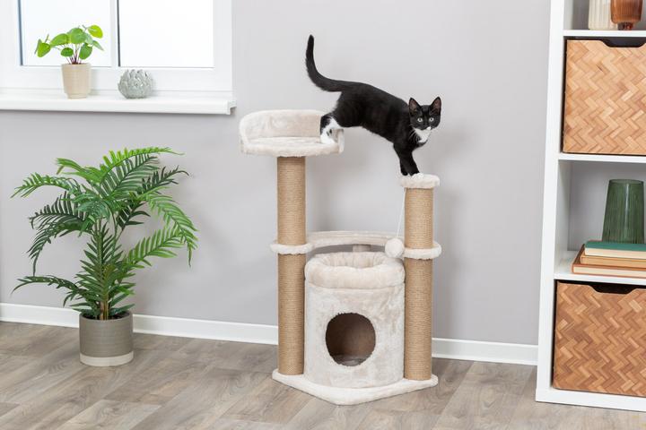Actual product image Trixie Cat tree Nayra (83 cm, Beige)