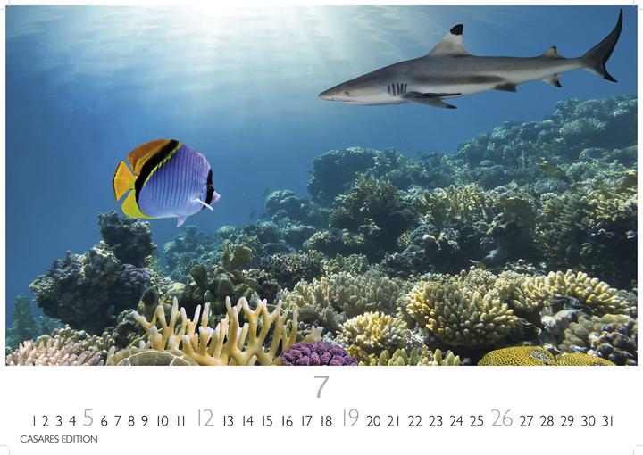 Image du produit Unterwasserwelten 2026 S 24x35cm (24 x 35 cm, Allemand)