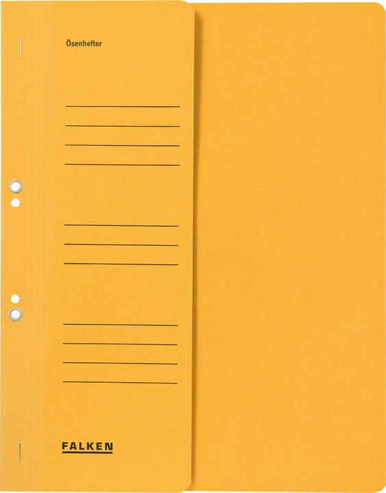 Produktbild Falken Sammelmappe 1/2 Deckel (A4, 1 x)