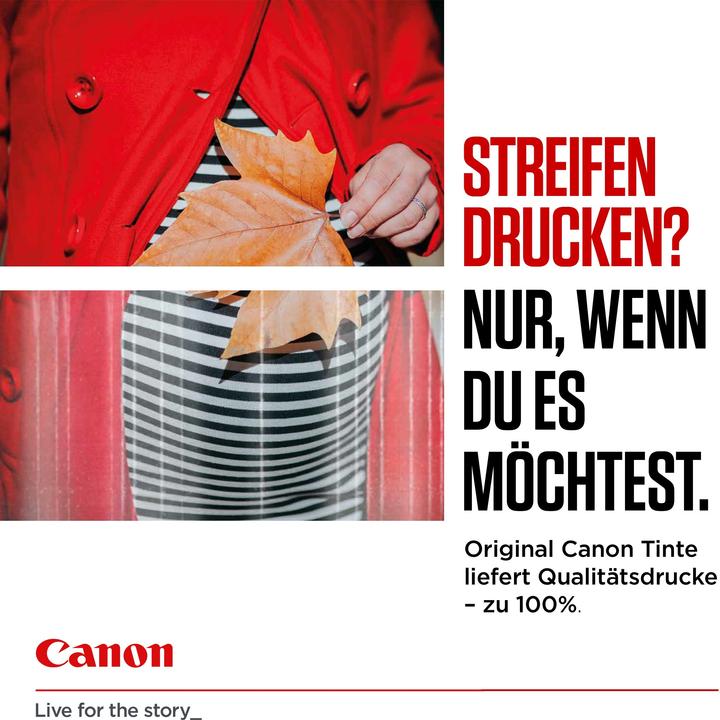 Produktbild Canon CL-541/PG-540 Multipack (BK, Color)