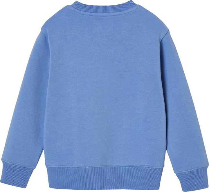 Produktbild Vertbaudet Jungen Sweatshirt BASIC mit Print und Recycling-Polyester (110)
