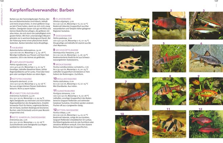 Produktbild Das grosse Praxishandbuch Aquarium (Deutsch, Ulrich Schliewen, 2017)