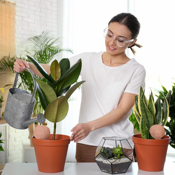 Produktbild Relaxdays 4x Bewässerungskugeln (Bewässerungskugeln)