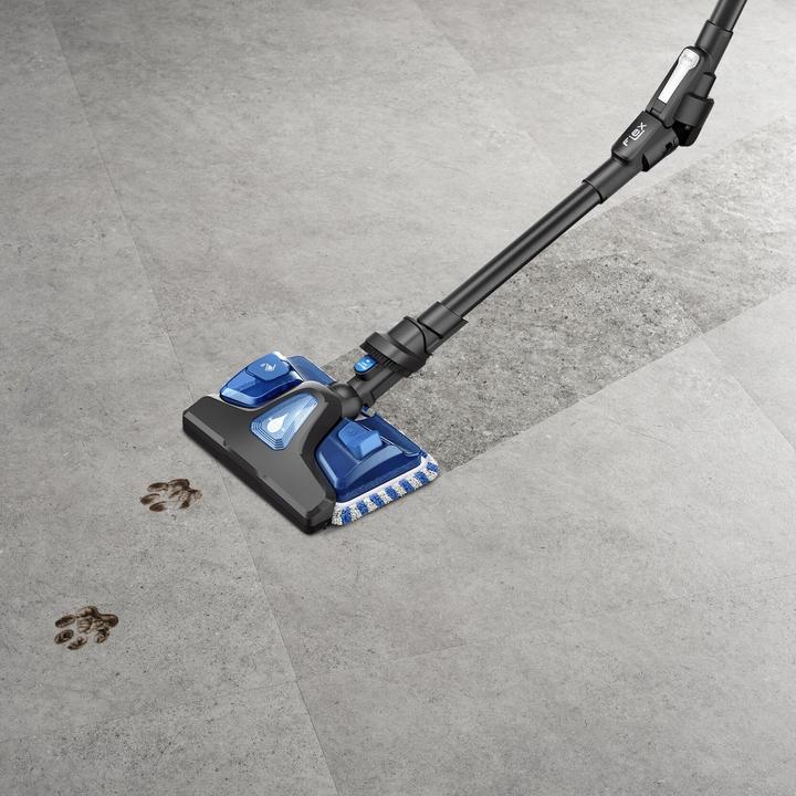 Actual product image Rowenta X-Force Flex RH20C7