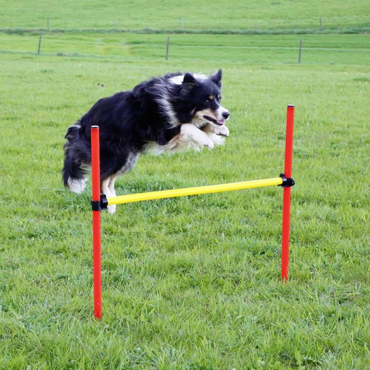 Image du produit Kerbl Kit complet (Taille unique, Agility)