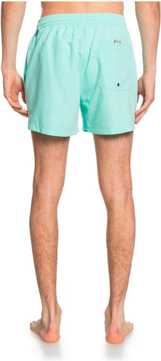 Actual product image Quiksilver Everyday Volleys (M)
