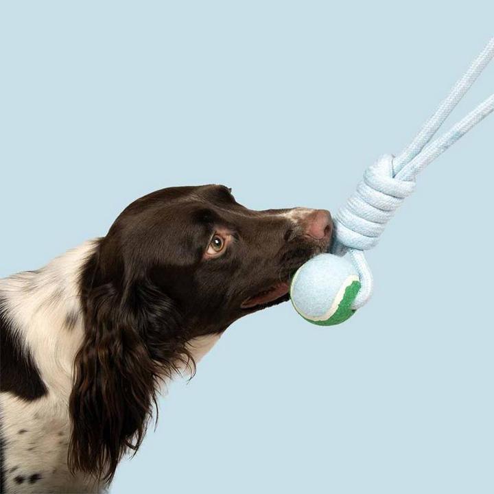 Actual product image Coockoo Ball Catch Me