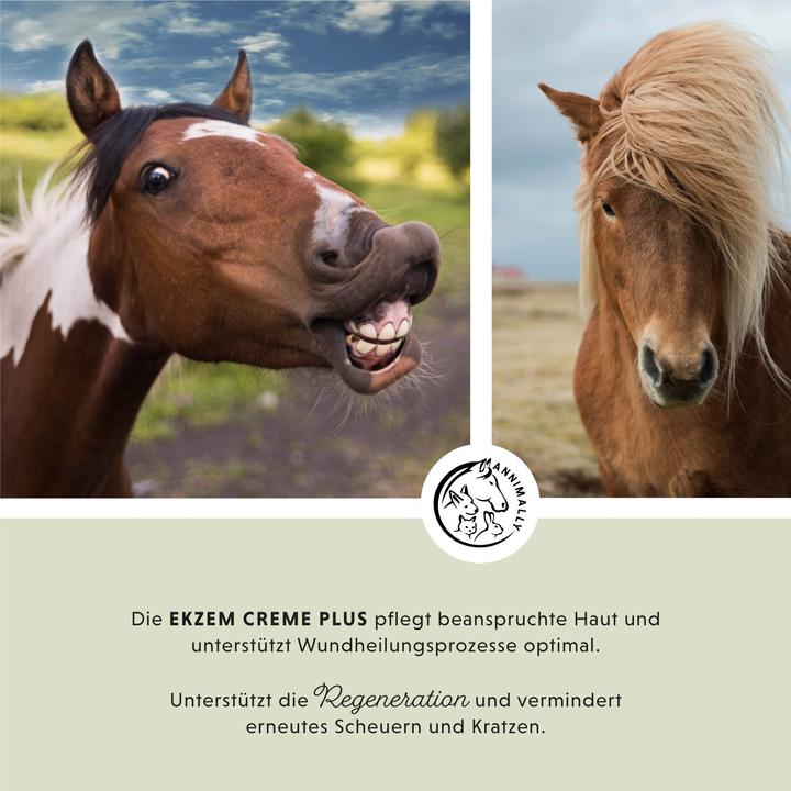 Image du produit Annimally Crème contre l'eczéma Plus