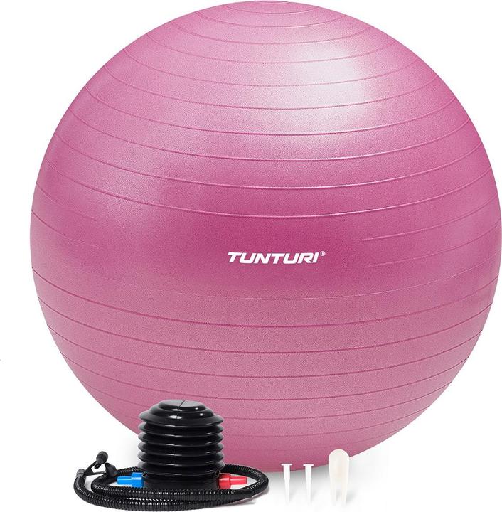 Immagine prodotto Tunturi Palla da ginnastica (65 cm)