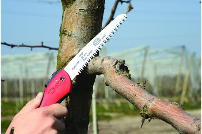 Produktbild Felco Klappsäge 600
