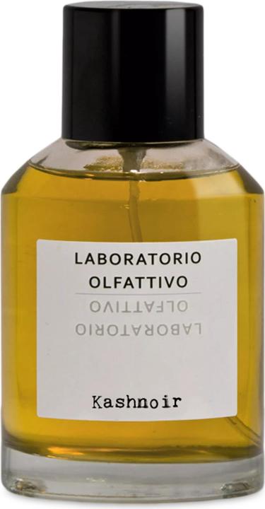 Laboratorio Olfattivo Kashnoir (Eau de Parfum, 100 ml)