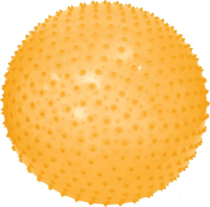 Actual product image LUDI Motor Development Ball Gymnastics and Yoga Ball for Children - Massage Texture with soft pins -