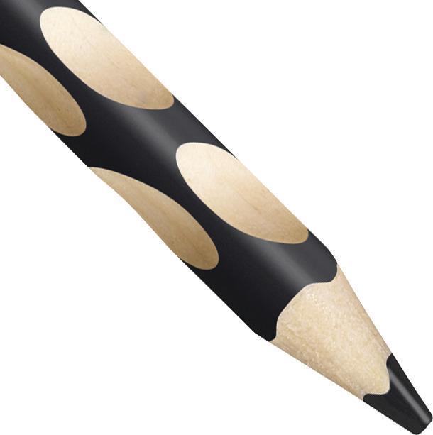 Image du produit STABILO EASYcolors (Noir, 1 x)