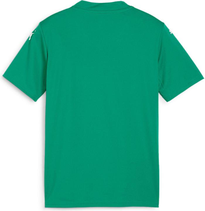 Produktbild Puma teamGLORY Jersey Jr (164)