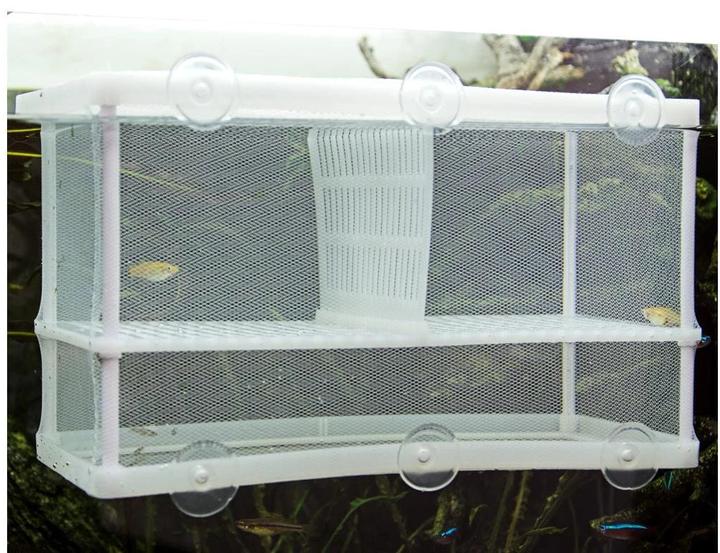 Produktbild Hobby Ablaichbehälter Nido 3.1 XL, 25 x 15 x 14.5 cm