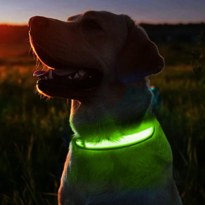 Produktbild Cbx Aufladbares LED-Hundehalsband Grösse L - 46-50cm (L, Hund)