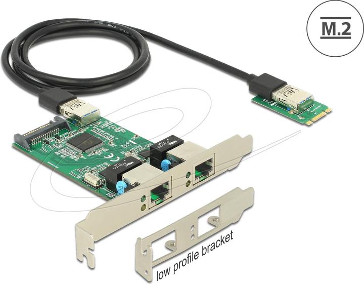Actual product image Delock Converter M.2 Key B+M male > 2 x Gigabit LAN (M.2 A Key)