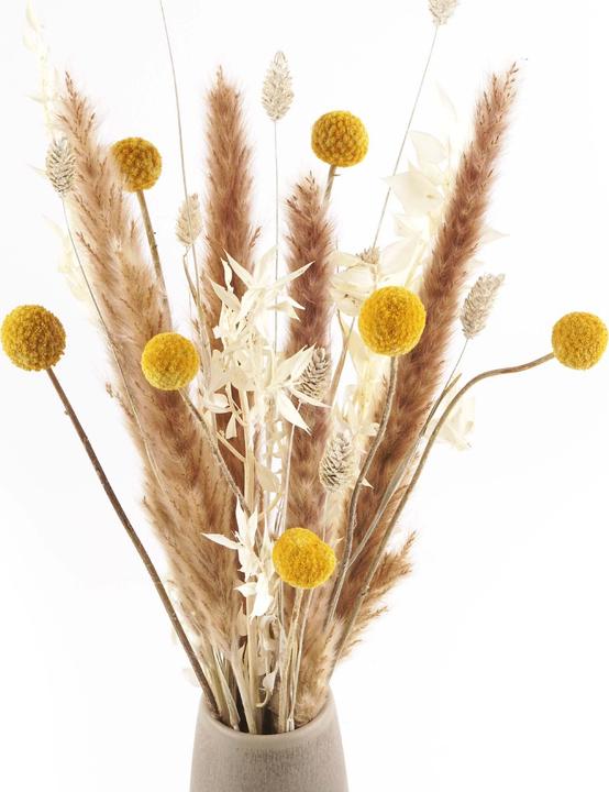 Image du produit Geschenkkörbe CH Bouquet de fleurs séchées "Craspedia (Fleurs séchées)