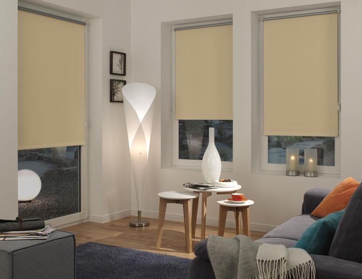 Actual product image Gardinia Thermo roller blind (100 x 150 cm)