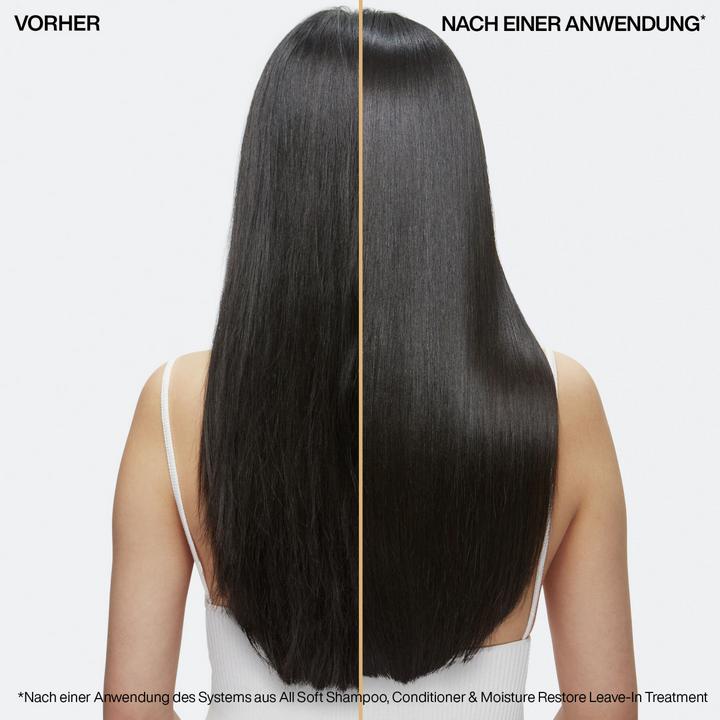 Actual product image Redken All Soft Springset (Hair care set)