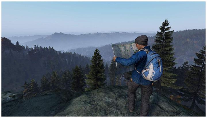 Actual product image Sold Out DayZ (PS4, DE)