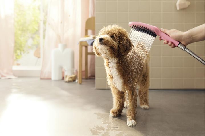 Image du produit hansgrohe Douche pour chien DogShower 150 (3 jets) (3 Types de jets, 7.60 l/min)