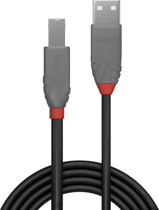 Immagine prodotto Lindy USB/A-USB/B M-M (2 m, USB 2.0)