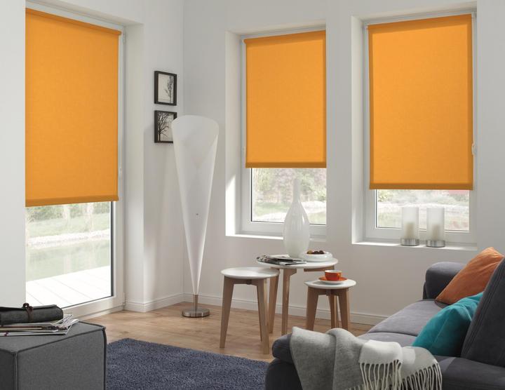 Immagine prodotto Gardinia Tenda a rullo Uni (120 x 150 cm)