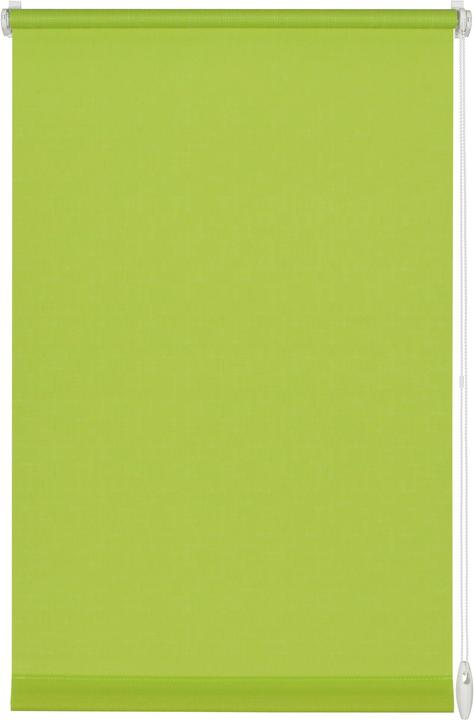 Image du produit Gardinia Uni des aveugles (90 x 210 cm)