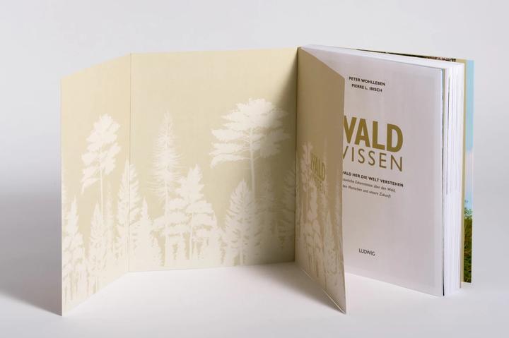 Produktbild Waldwissen (Deutsch, Peter Wohlleben, Pierre L. Ibisch, 2023)