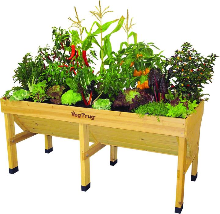 VegTrug Plant box