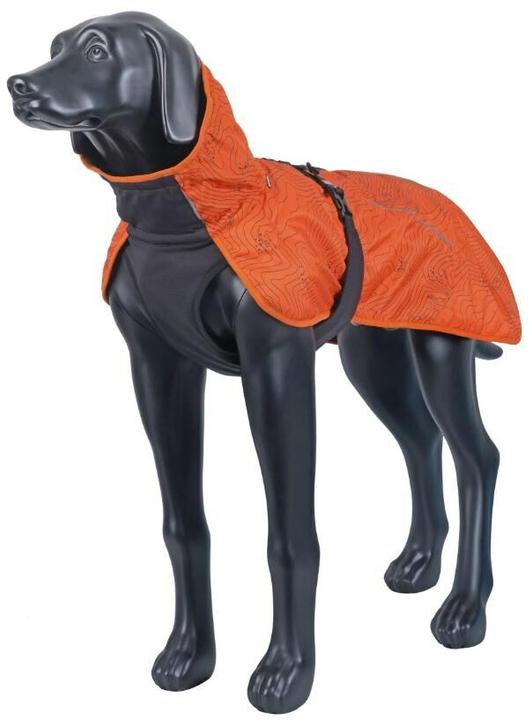 Image du produit Icepeak Manteau d'hiver Delle Orange, M (M, Manteau pour chien)