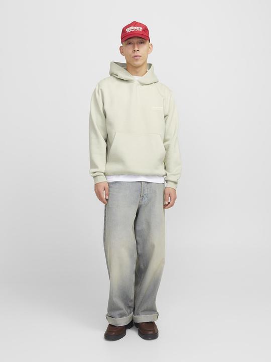 Image du produit Jack & Jones Jorroxbury Back Sweat Hood Ln (L)