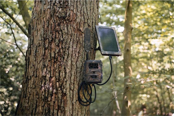 Produktbild Seissiger Wildkamera Special-Cam LTE