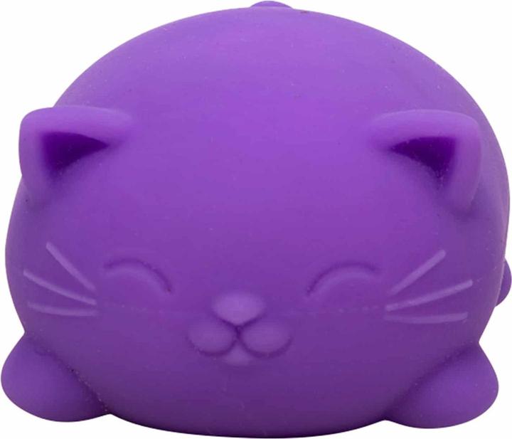 Actual product image NeeDoh Schylling Nee Doh Cool Cats Stress ball