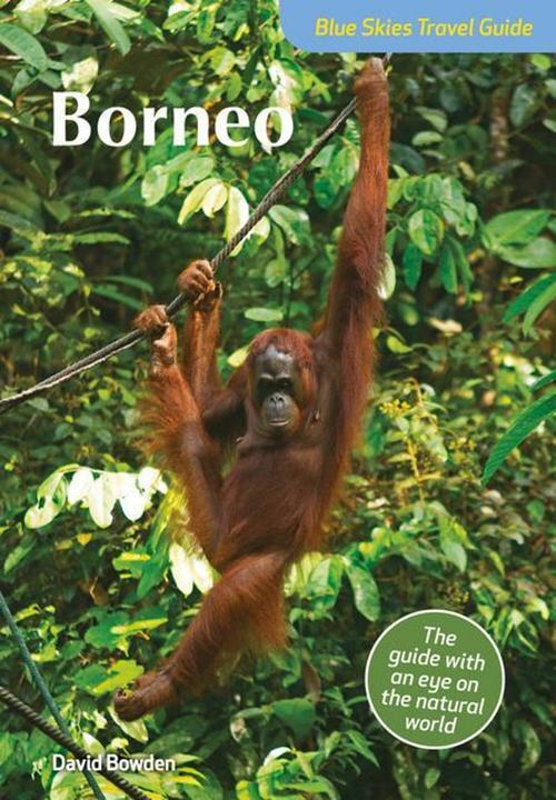 Produktbild Borneo (Blue Skies Travel Guide) (Englisch, David Bowden, 2018)