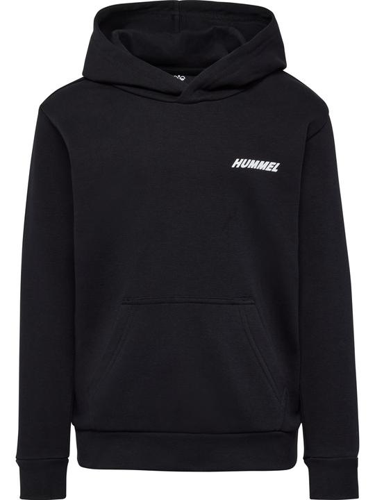 Actual product image hummel hmlCASPER HOODIE (146)