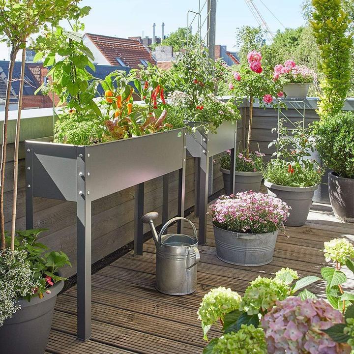 Immagine prodotto Bio Green Freising L