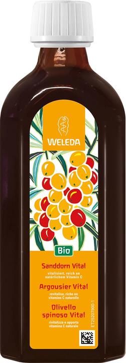Produktbild Weleda Sanddorn Vital Saft (1 Stück, Flüssigkeit, 553 g)