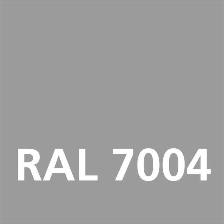 Actual product image Dupli-Color Glossy acrylic paint RAL 7004 signal grey (Signal grey, 0.40 l)