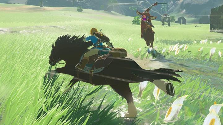 Actual product image Nintendo amiibo Zelda - Bokoblin Zelda (BotW) (Wii U, Switch, 3DS, 3DS XL, 2DS, 2DS XL)