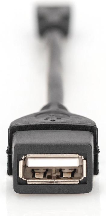 Actual product image Digitus USB2.0 adapter cable, OTG, 0.2m (0.20 m, USB 2.0)