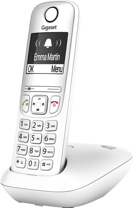 Actual product image Gigaset AE690 Analogue/DECT telephone