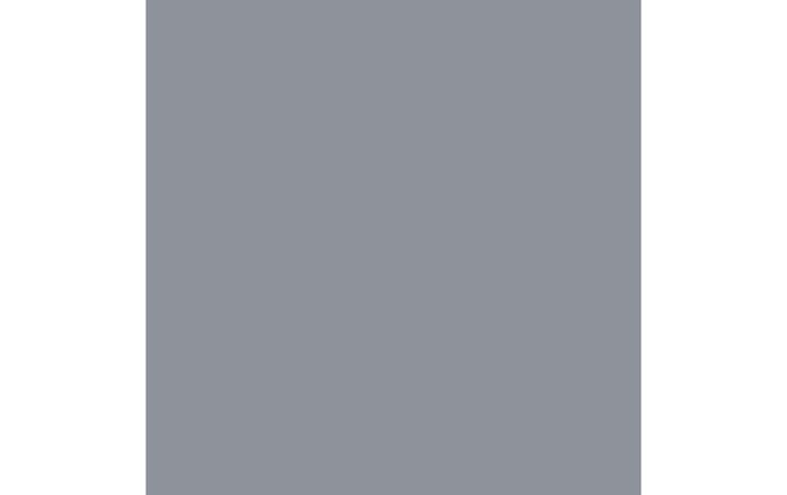 Actual product image Cricut Vinyl film Joy 13.9 cm x 121.9 cm Permanent, Silver