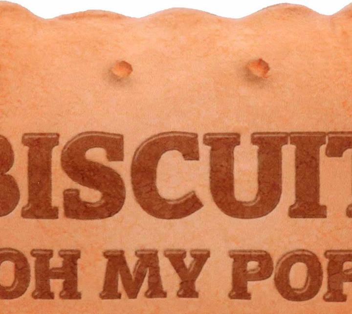 Actual product image Oh My Pop! Large Cushion Biscuit
