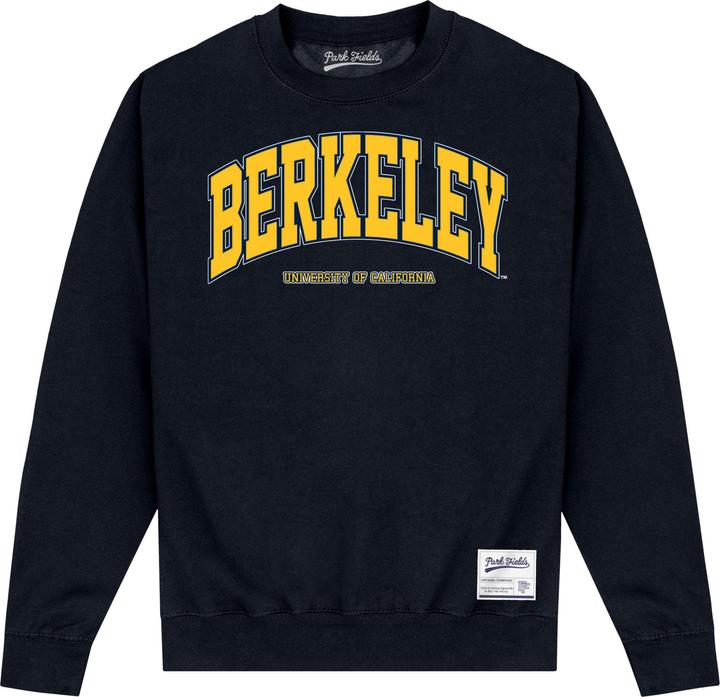 Actual product image Park Fields Unisex Adult Arch Sweatshirt (M)