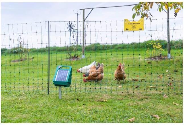 Immagine prodotto AKO Premio netto per il pollame
